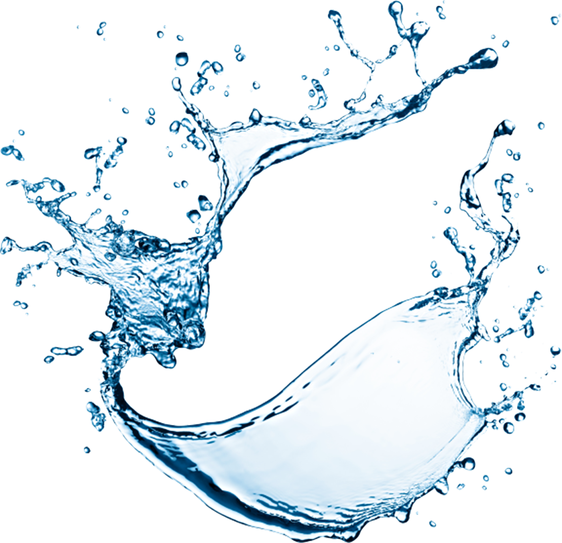  Water Ionizer Price vs. Performance: How to Get the Best Deal