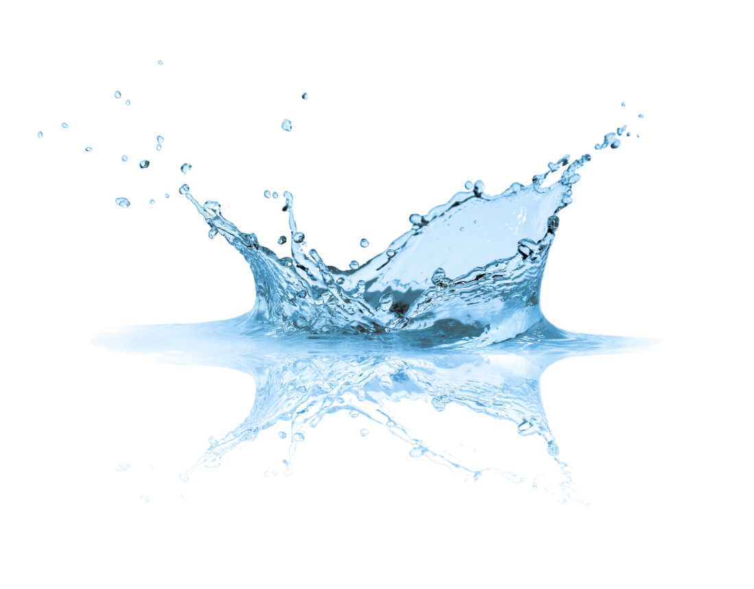 Top 5 Water Ionizer Brands Reviewed: Which One Should You Trust?