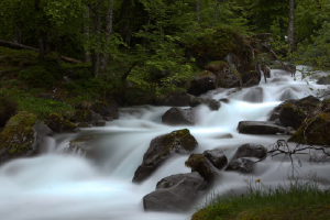 Water Ionizers and the Magic of Hydrogen