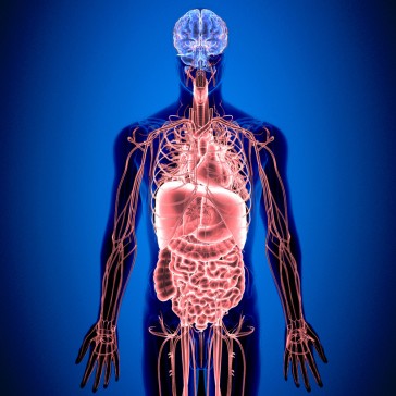 alkaline-water-acid-reflux-digestion