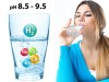 How Alkaline Water Ionizers can help develop your gut instinct!