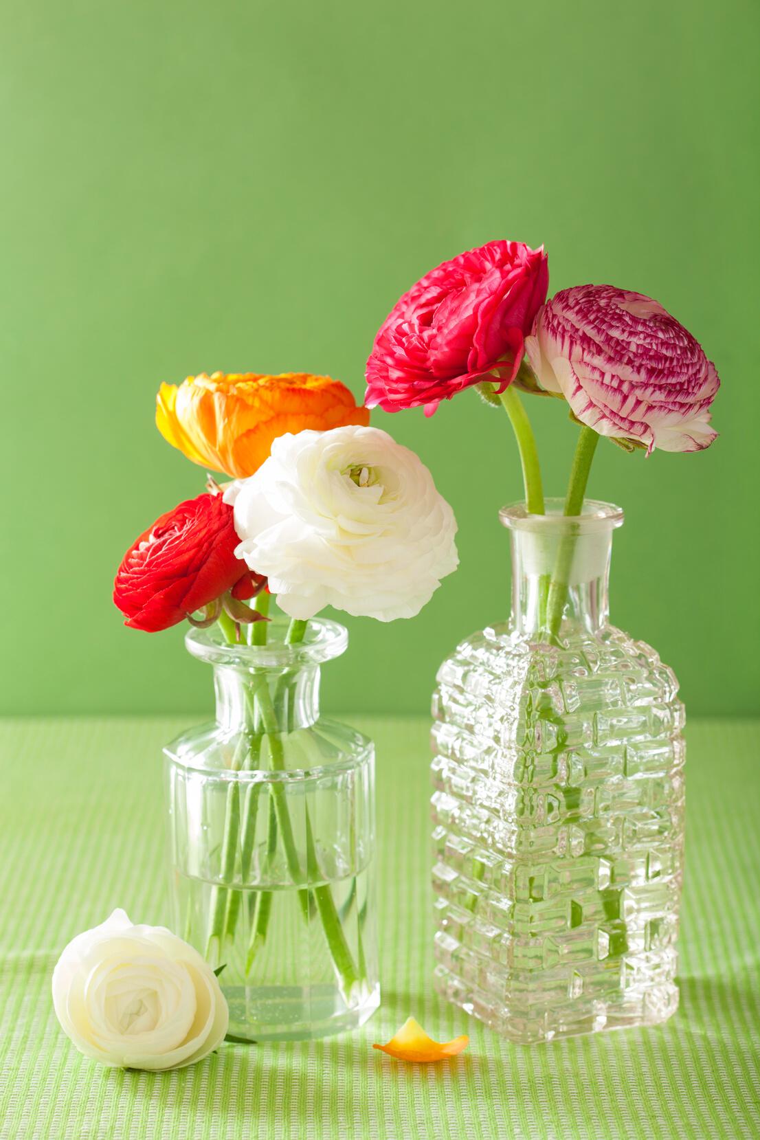 Fresh flowers in a vase